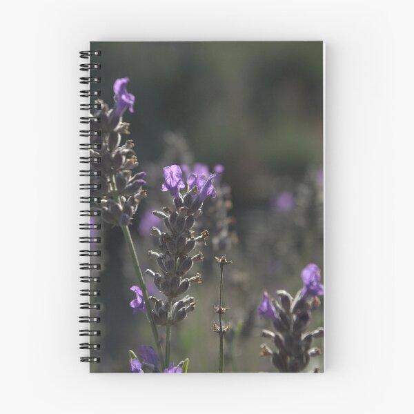Item preview, Purple haze - Emu Bay Lavender Farm, Kangaroo Island designed and sold by imaginethis.