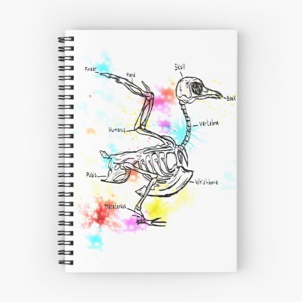 Item preview, Bird bones designed and sold by touti.