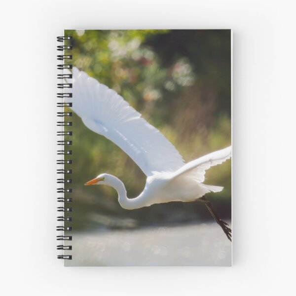 Item preview, Fly-By designed and sold by EugeJ.