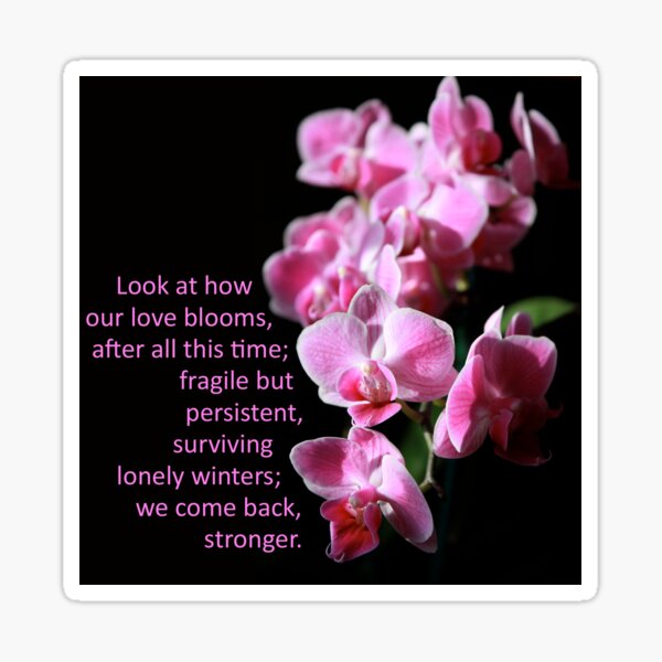 Look At How Our Love Blooms Sticker