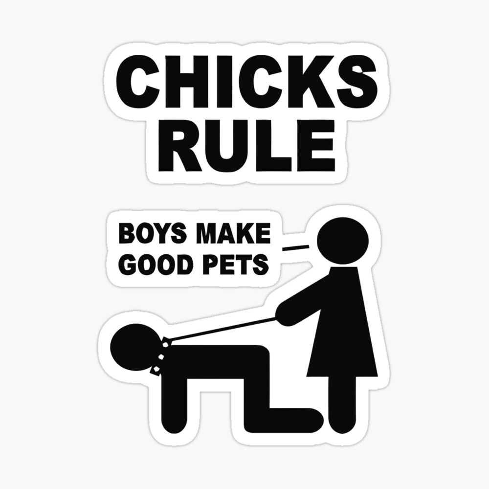 8"x12" Metal Sign ~ Chicks Rule...Boys Make Good Pets ~ humor dominate 