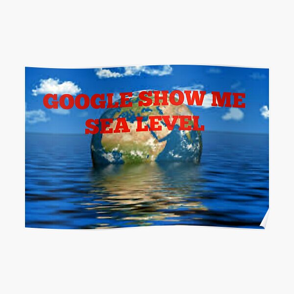 "GOOGLE SHOW ME" Poster for Sale by DMEIERS Redbubble