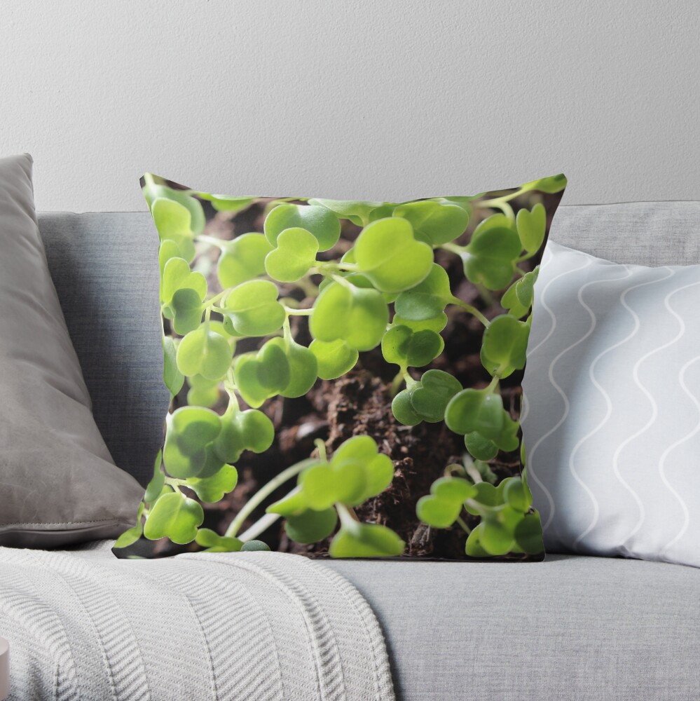 Microgreens seeds botanical Throw Pillow