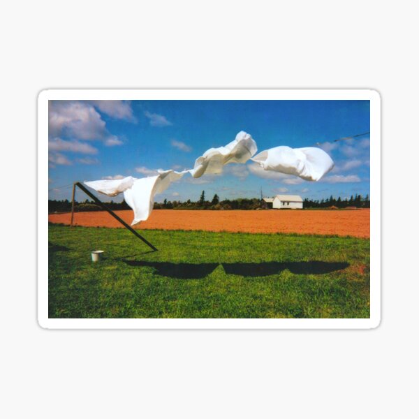 Blowing in the Wind Sticker