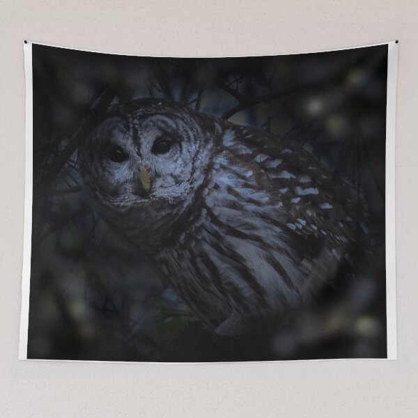 Item preview, Creature of the Night designed and sold by May Finch.