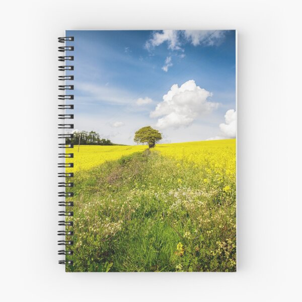 Item preview, Tree in Oilseed Rape Field designed and sold by heidipics.