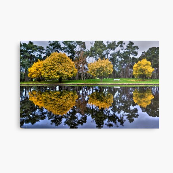 Autumn Reflections Metal Print