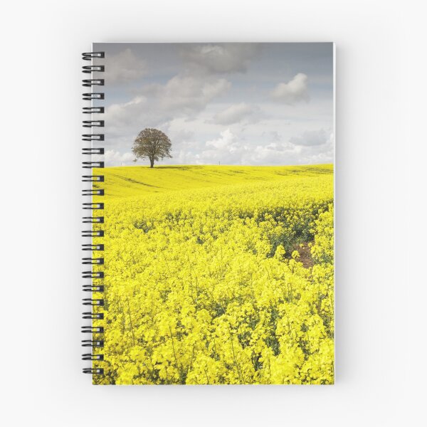 Item preview, Fields of Gold designed and sold by heidipics.