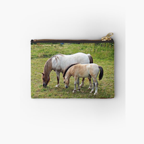 Item preview, Two weeks after I saw this litle Foal, designed and sold by mrcoradour.