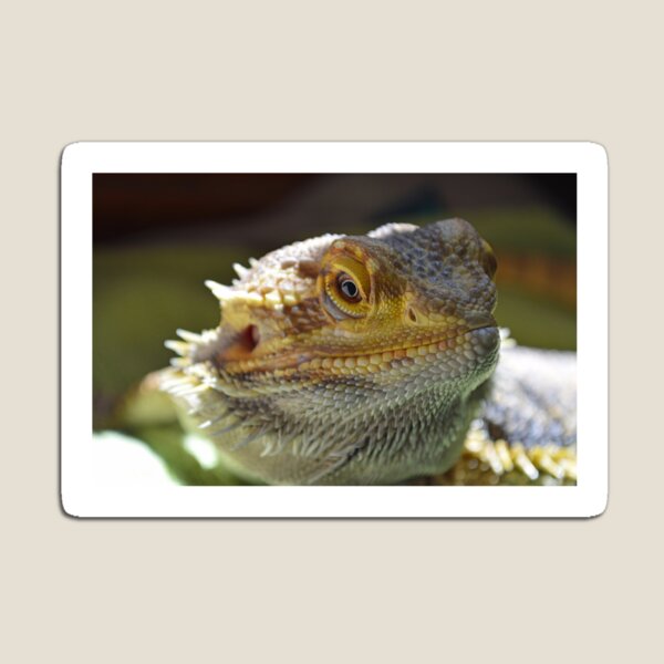 Item preview, Dragon Thoughts designed and sold by LizardSpirit.