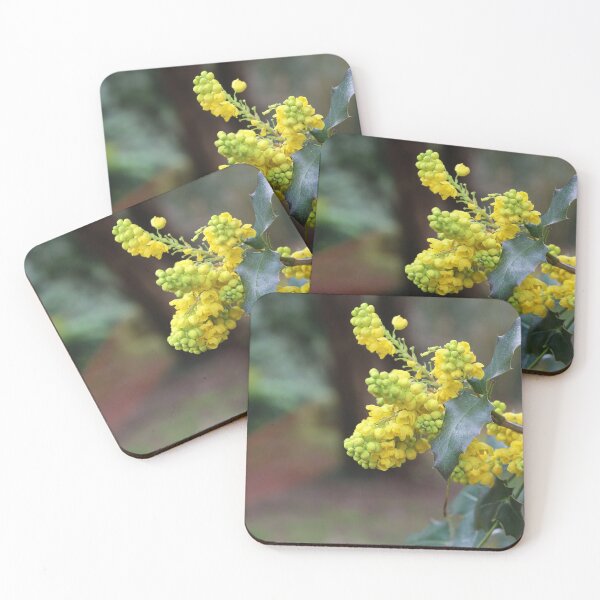 Item preview, Mahonia Aquifolium designed and sold by pinkal.