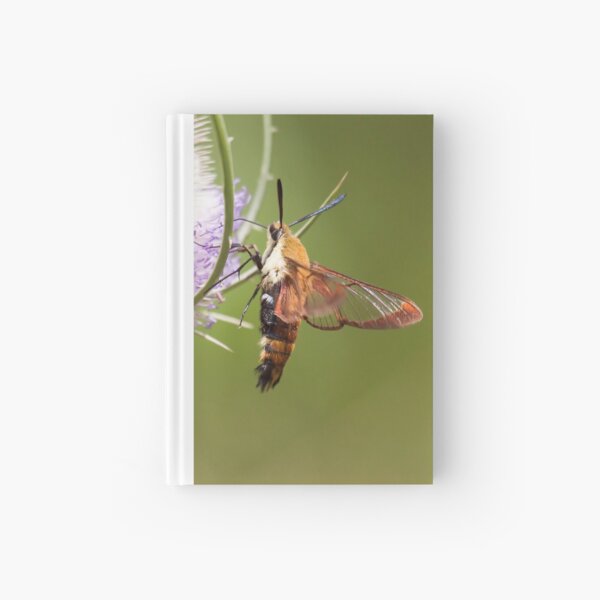 The Hummer Hardcover Journal