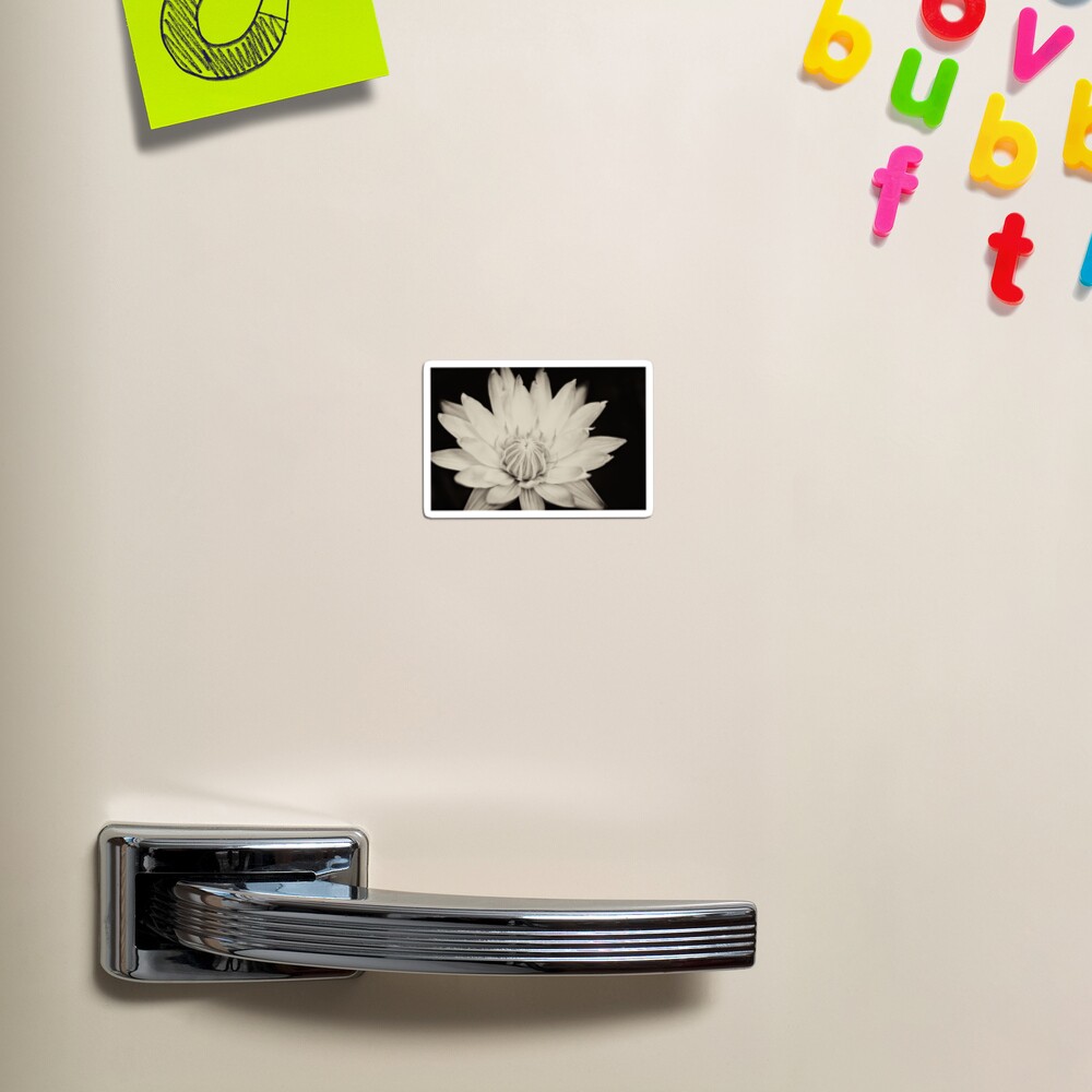 Item preview, Magnet designed and sold by 3523studio.