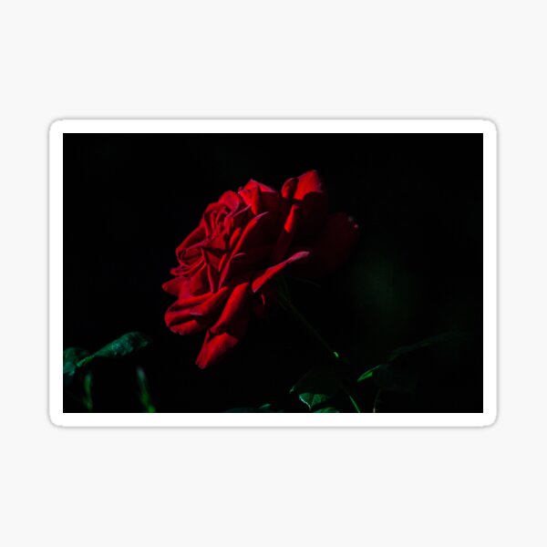 rose Sticker