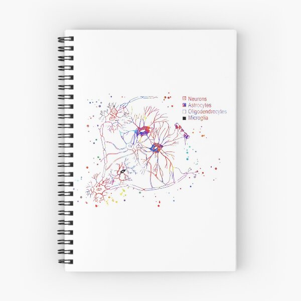 Item preview, Cortical pyramidal cells, neurons, astrocytes, oligodendrocytes, microglia, cells  designed and sold by Rosaliartbook.