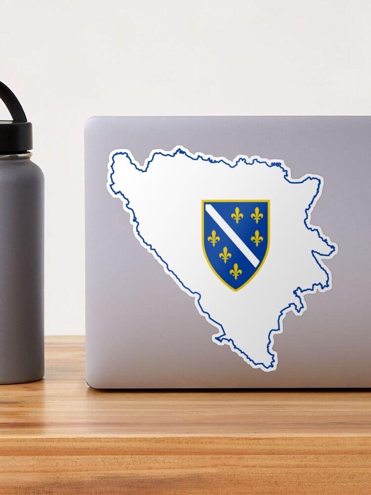 Vlag Van Bosnië Met Spraakballon Silhouet Man Met Landvlag Die Bosnische Taal Leert 655111 2156