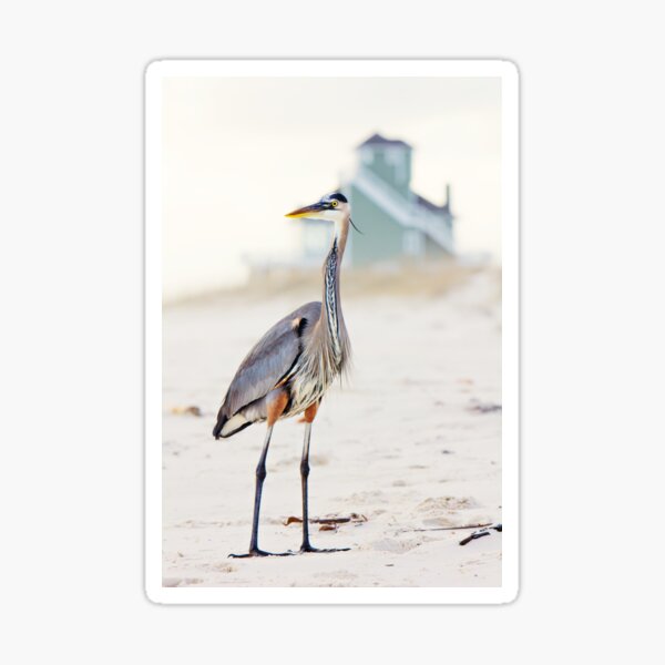 Item preview, Heron and The Beach House designed and sold by Jonicool.
