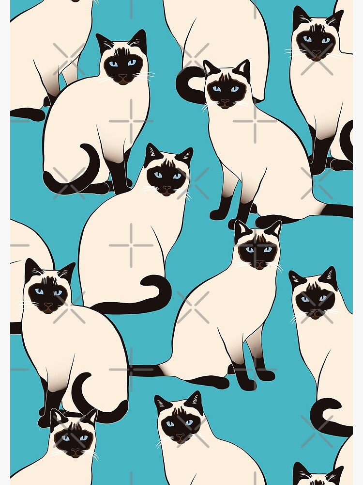 Siamese Cats dense on turquoise by nadyanadya