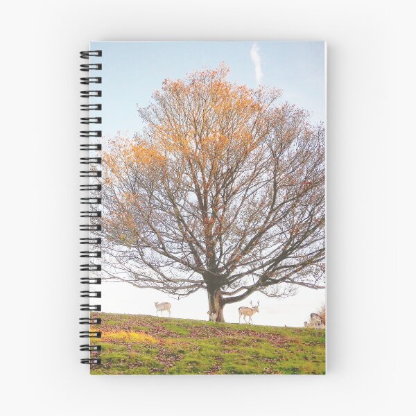 Item preview, Birds & Animals BA158b designed and sold by Hyperion Photoart.