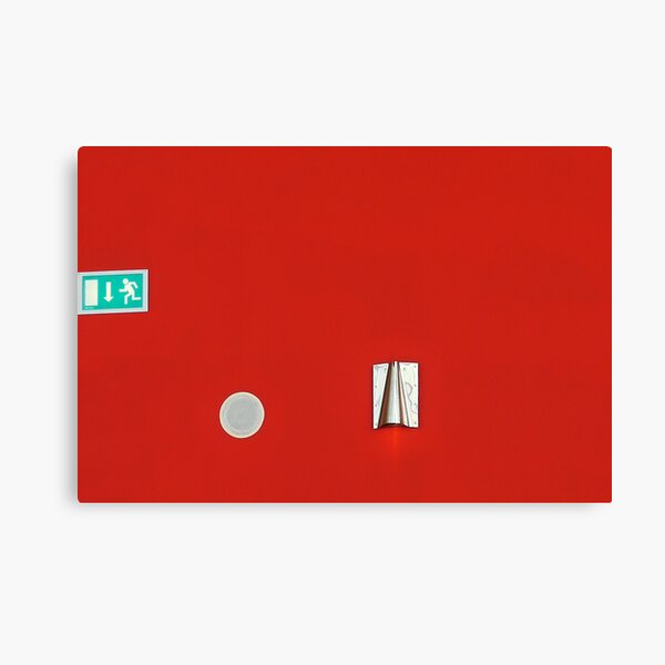 take off Canvas Print