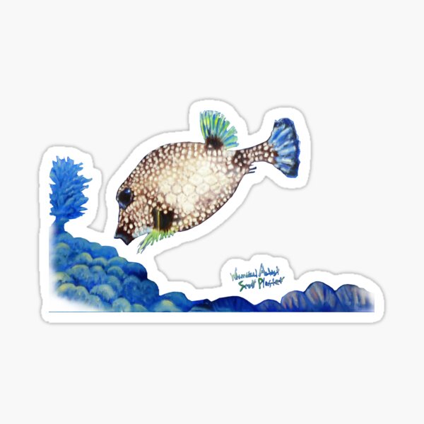 Casper - Ocean Series Tropical Fish Sticker