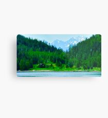 Vancouver Island Metal Print