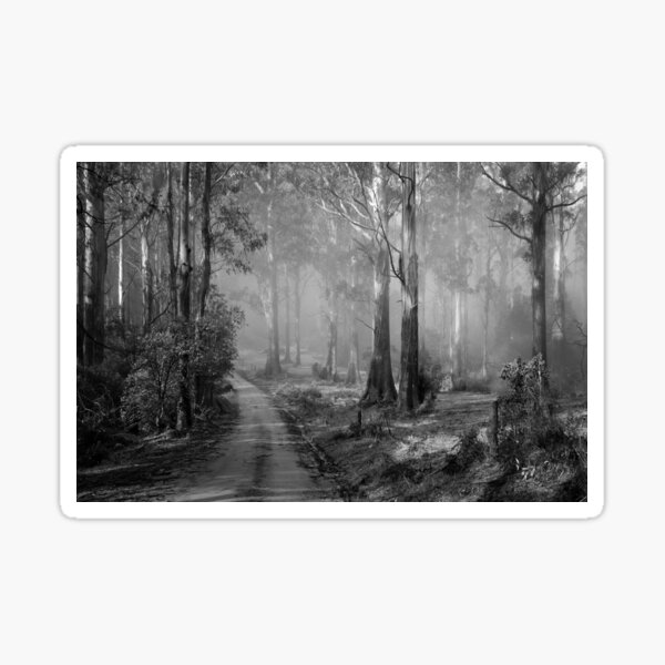 Item preview, Toolangi State Forest  designed and sold by Christine Wilson.