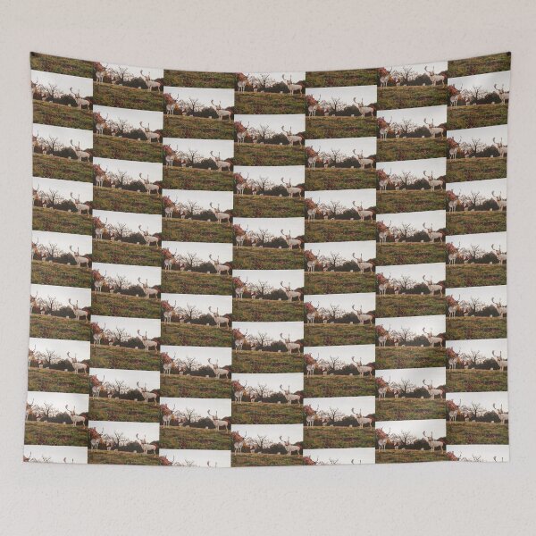 Item preview, Birds & Animals BA162c designed and sold by Hyperion Photoart.