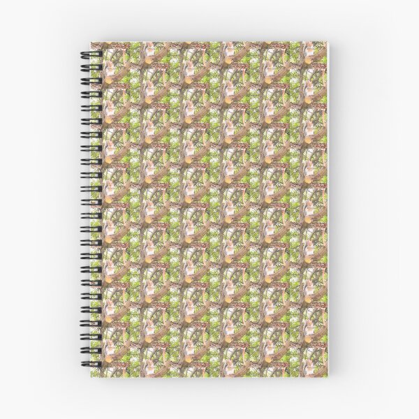 Item preview, Birds & Animals BA159b designed and sold by Hyperion Photoart.