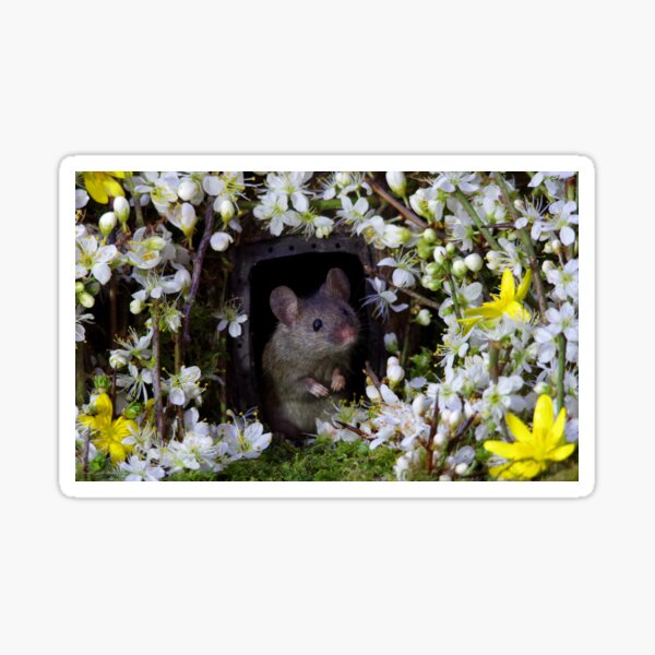 George the mouse in a log pile house - SPRING flowers Sticker
