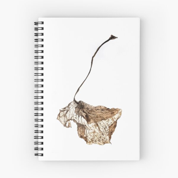Item preview, Dried Hosta Leaf designed and sold by jsachs99.