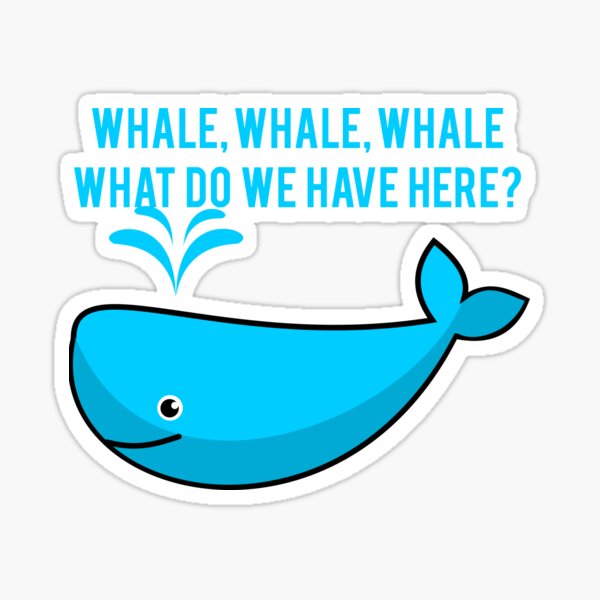 Funny Whale Cartoon Pictures Stickers for Sale | Redbubble Funny Whale Cartoon Pictures Stickers for Sale | Redbubble