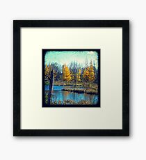 Wetlands Through The Viewfinder Framed Print