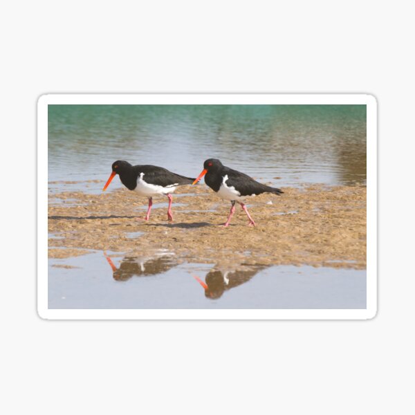 Reflected Sticker