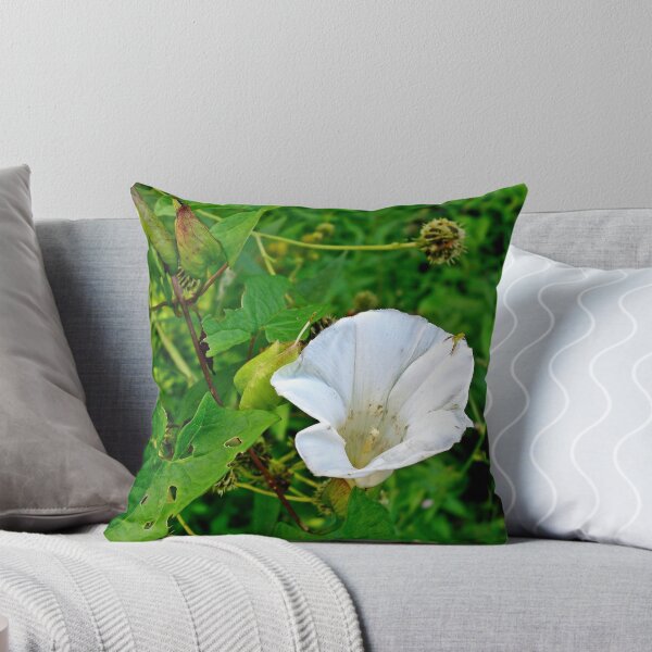Item preview, Come In To My Parlor  designed and sold by Paul Lubaczewski.
