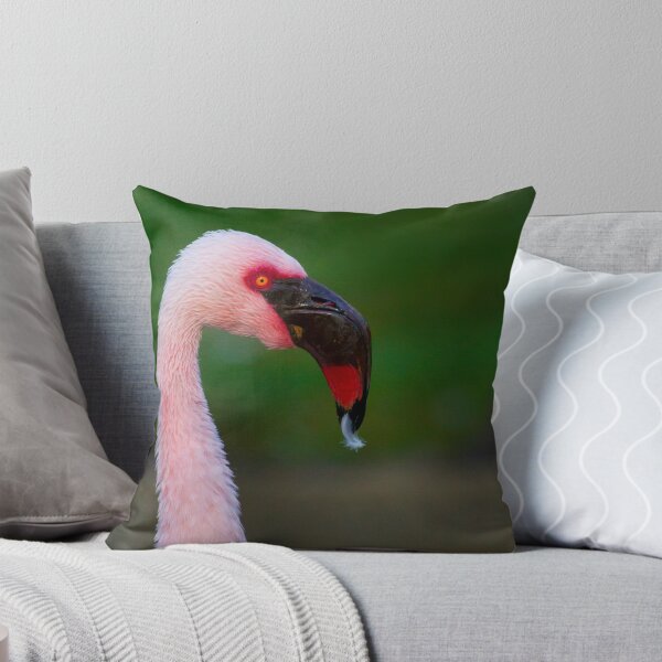 Item preview, Flamingo Molting   #8354 designed and sold by JL Woody Wooden.