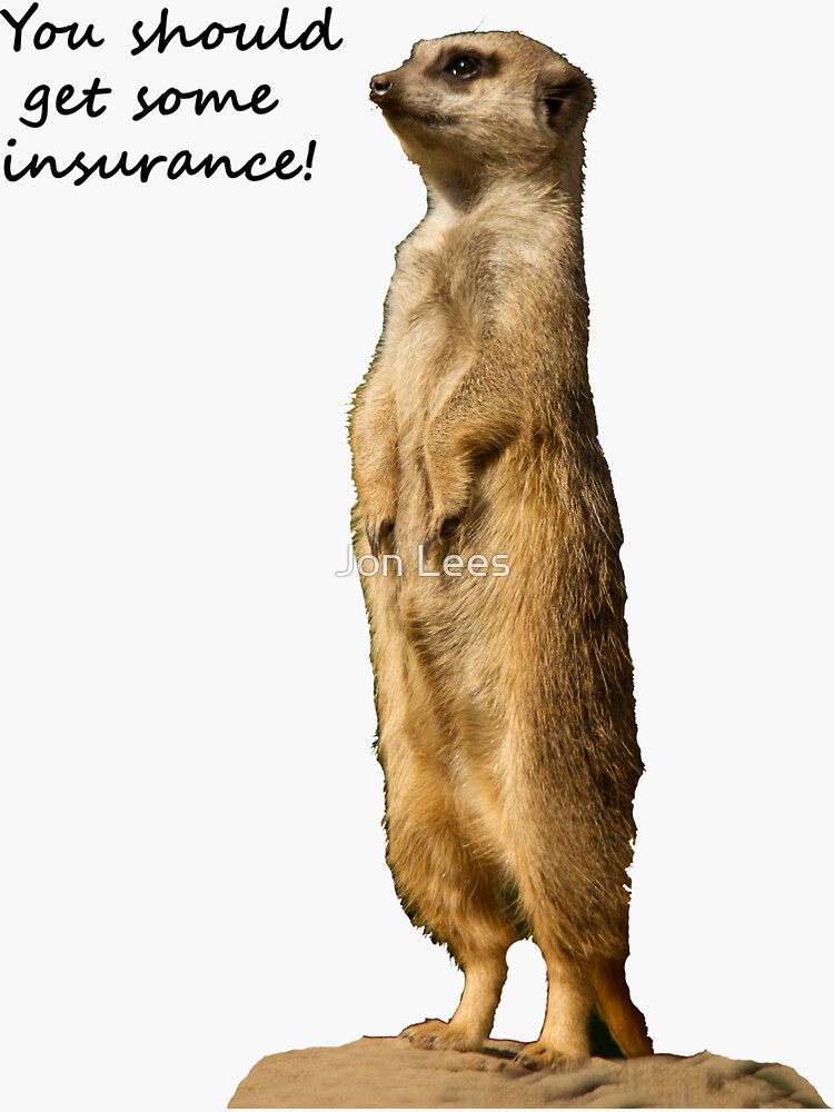 meerkat phone insurance