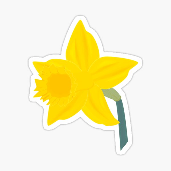 Daffodil, Daffodil Sticker