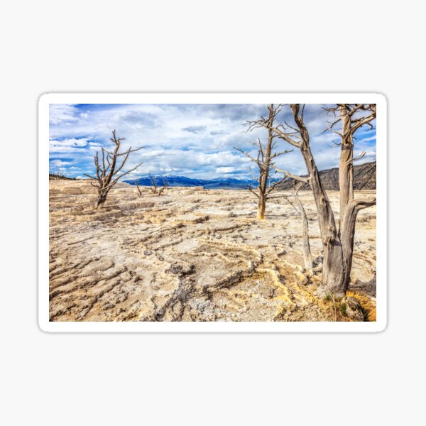 Mammoth Dry Spring Sticker