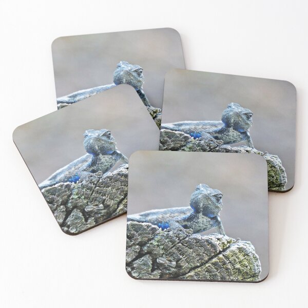 Item preview, Male Prairie Lizard  designed and sold by Frankie Cat Photography.