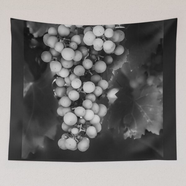 Item preview, Grapes in Black and White designed and sold by heatherfriedman.