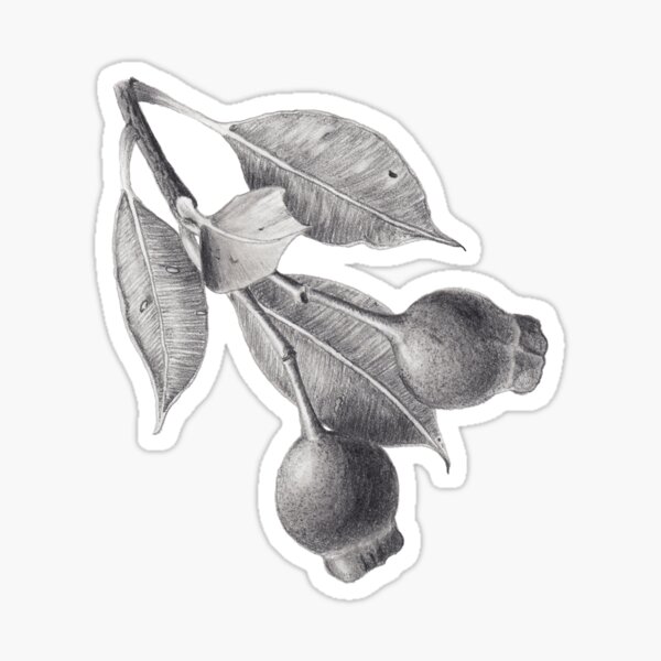 Item preview, Gumnuts - graphite pencil designed and sold by Zoya Makarova.