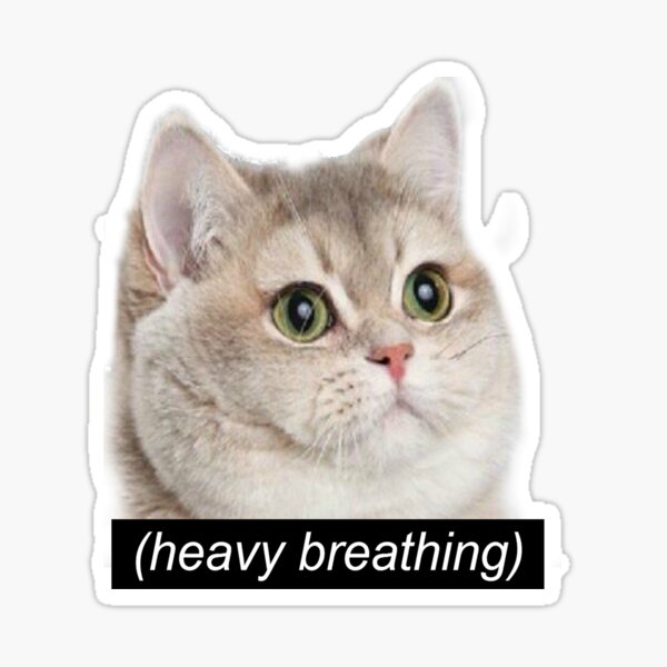 Heavy Breathing Cat Meme Stickers | Redbubble Heavy Breathing Cat Picture