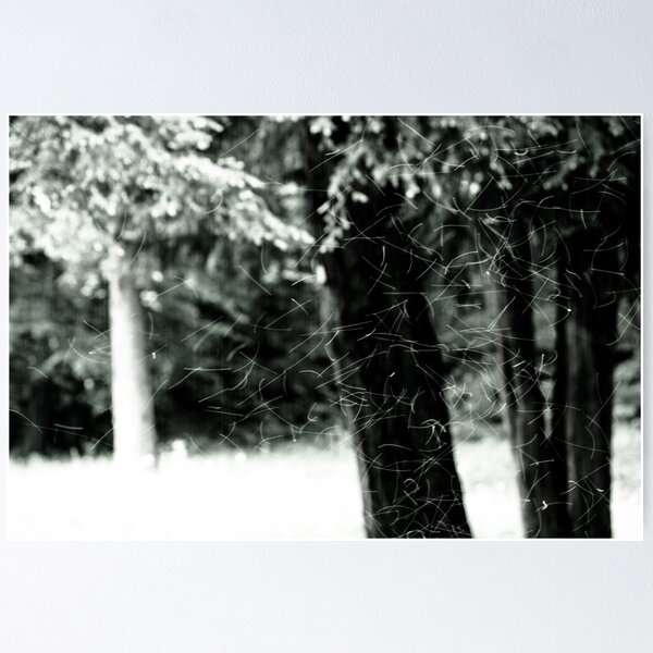 Item preview, OnePhotoPerDay Series: 134 by C. designed and sold by C. & L. | Photography & Artworks.