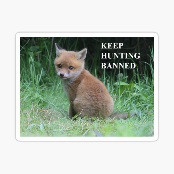 Save our foxes support the ban round stickers bumper stickers and metal badges