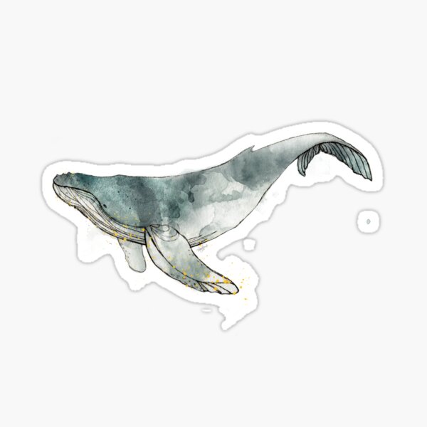 Humpback Whale Sticker