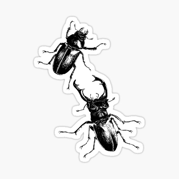 Item preview, Stag beetles designed and sold by Norgesbacon.