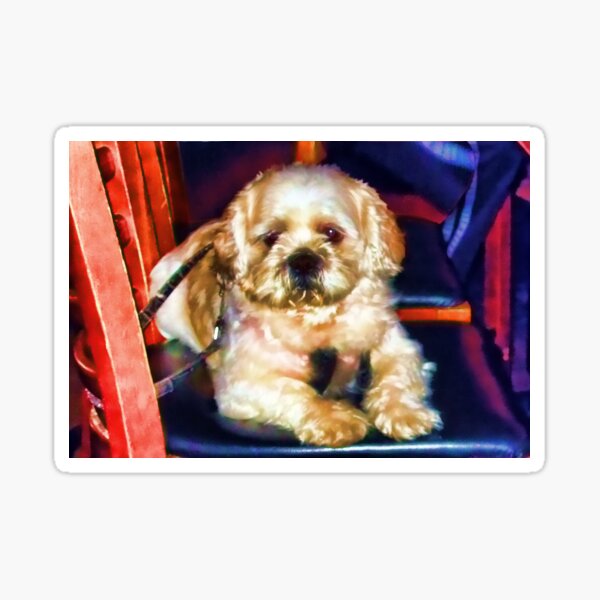 Item preview, Pup at the Bar designed and sold by GolemAura.