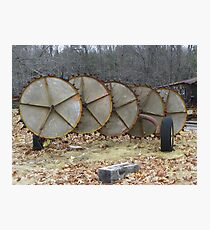 Hay Tedder Photographic Print