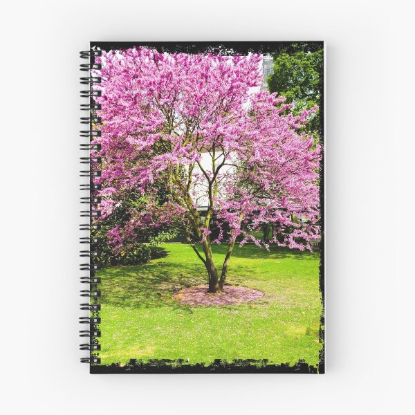 Item preview, The Judas Tree designed and sold by JohnGaffen.